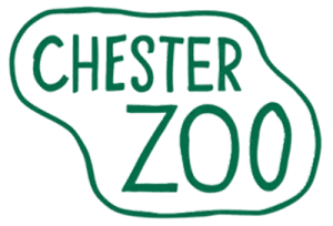 <strong>Julie Platt</strong>