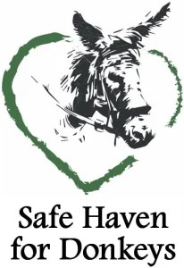 <strong>Wendy Ahl</strong>